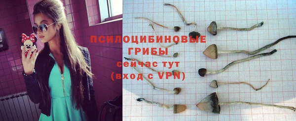 таблы Абаза