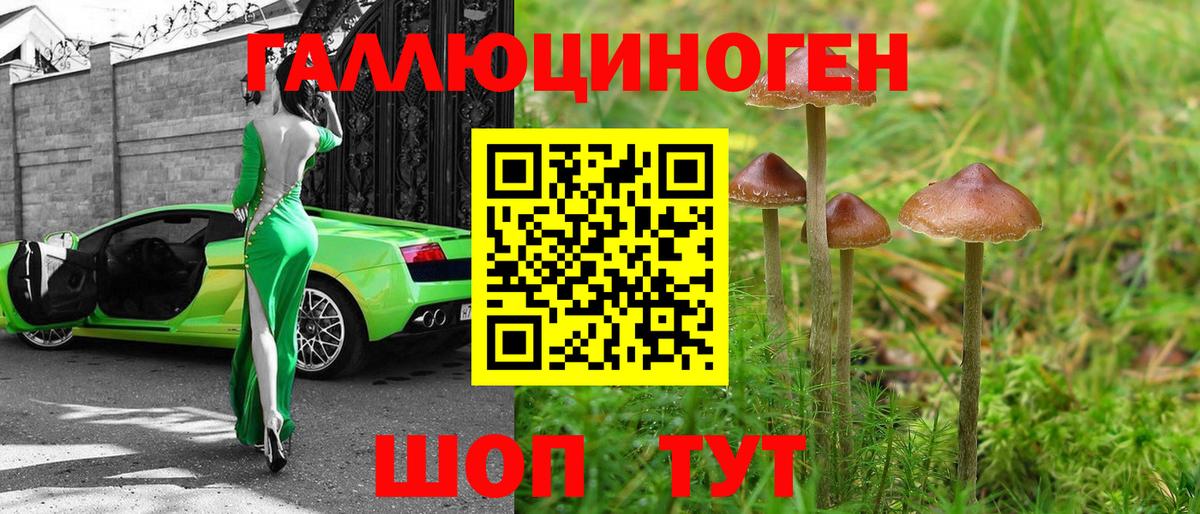 Прокопьевск  Галлюциногенные грибы прущие грибы  Псилоцибиновые грибы ЛСД  Вход с VPN 